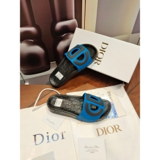 Christian Dior Slippers